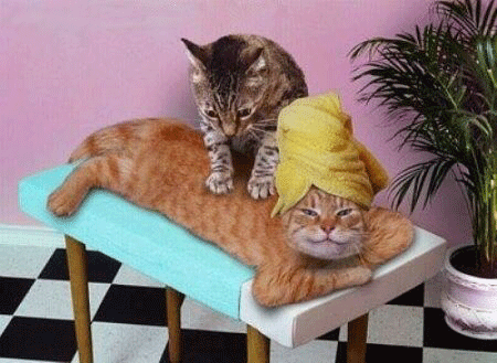 le massage maison