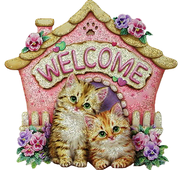 bienvenue a nos amis les chats