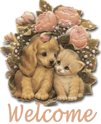 bienvenue sur ce blog